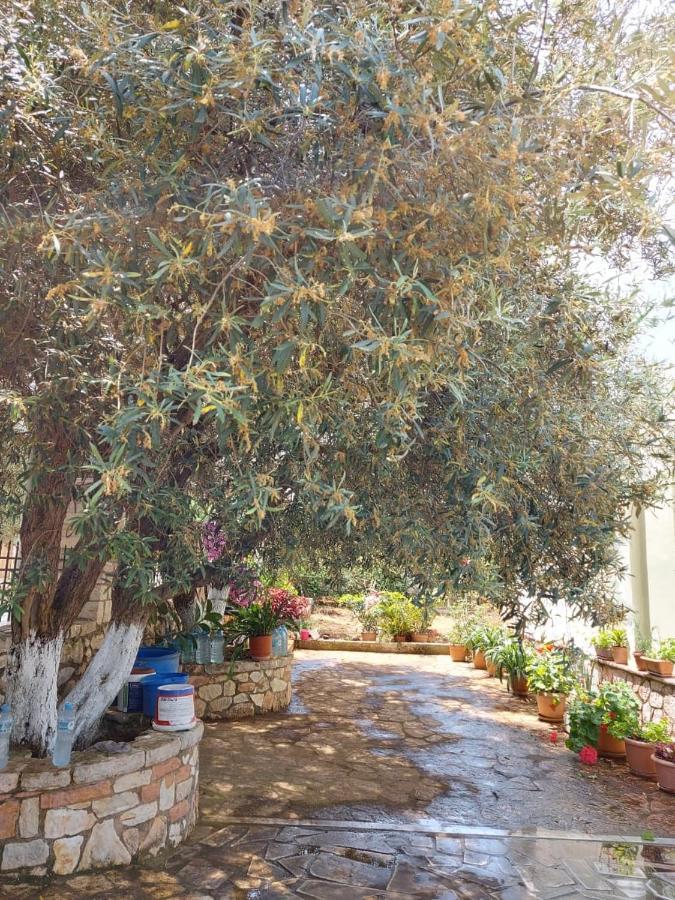 Vila Rexhaj Ksamil Bagian luar foto